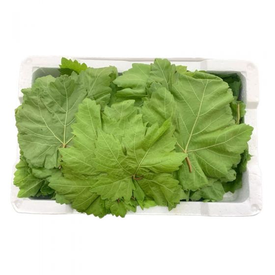 Grape Leaves