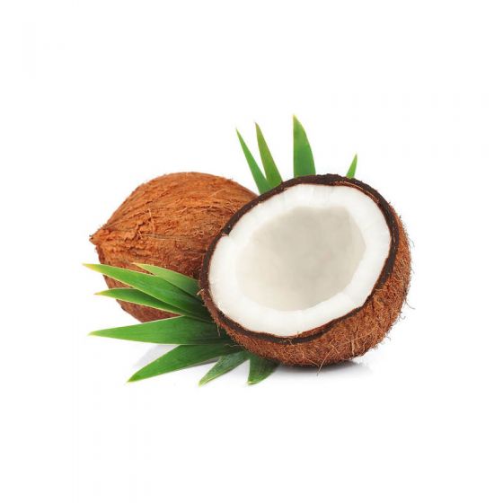 Coconut