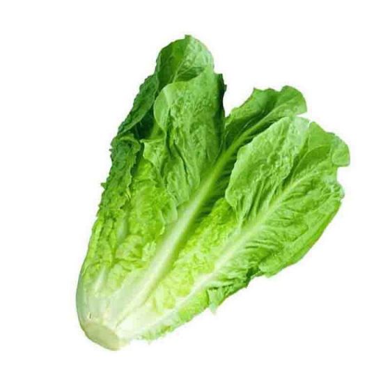 Local Lettuce