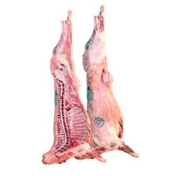 Fresh Lamb Romany - 9.5