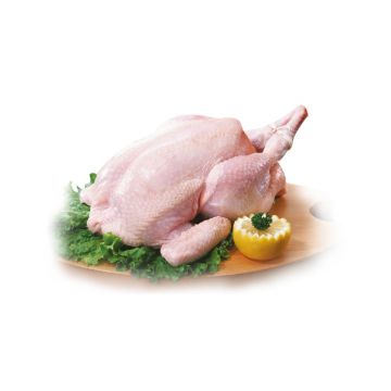 Fresh Chicken - 5